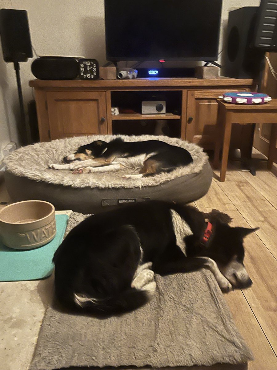 BeLLa StAr AngGel 🇬🇧🇮🇪☘️♥️♥️🫶🫶🫶 tweet media