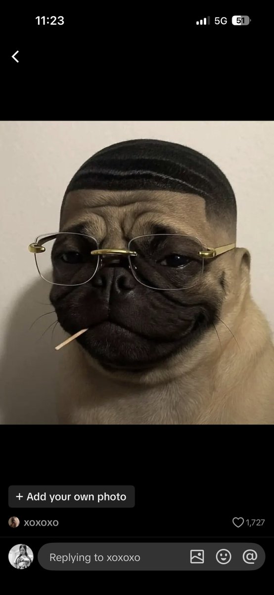 craig⚽️ tweet media