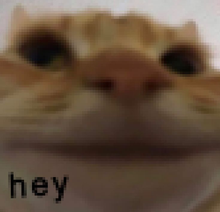 Crypto_Riddle tweet media