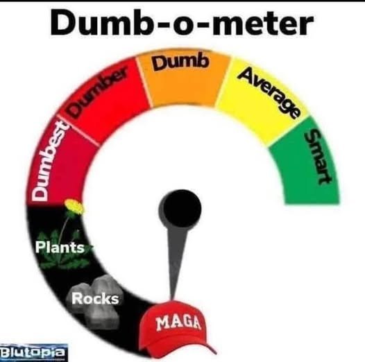 LOST TIME 🇺🇸 tweet media