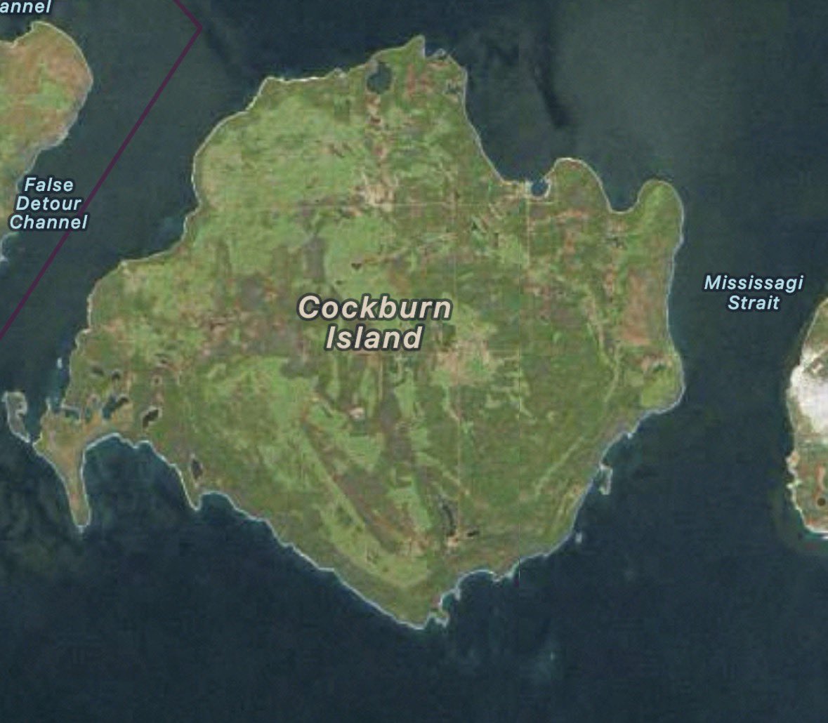 Mike Oksgurthy — acc/acc tweet media