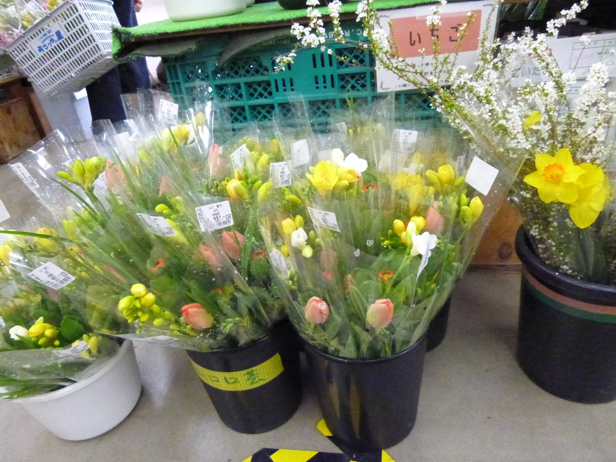 janan_ic's tweet photo. お花畑になっております！！

　お墓にいかがですか！？ https://t.co/zhB4WSbyVa