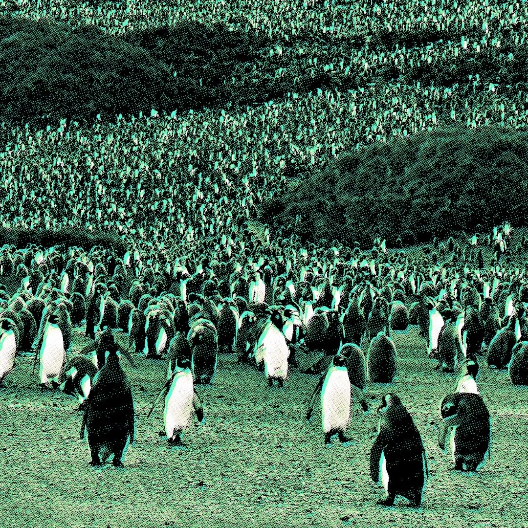 ๐
๐๐๐๐๐๐ ๐๐๐๐ tweet media