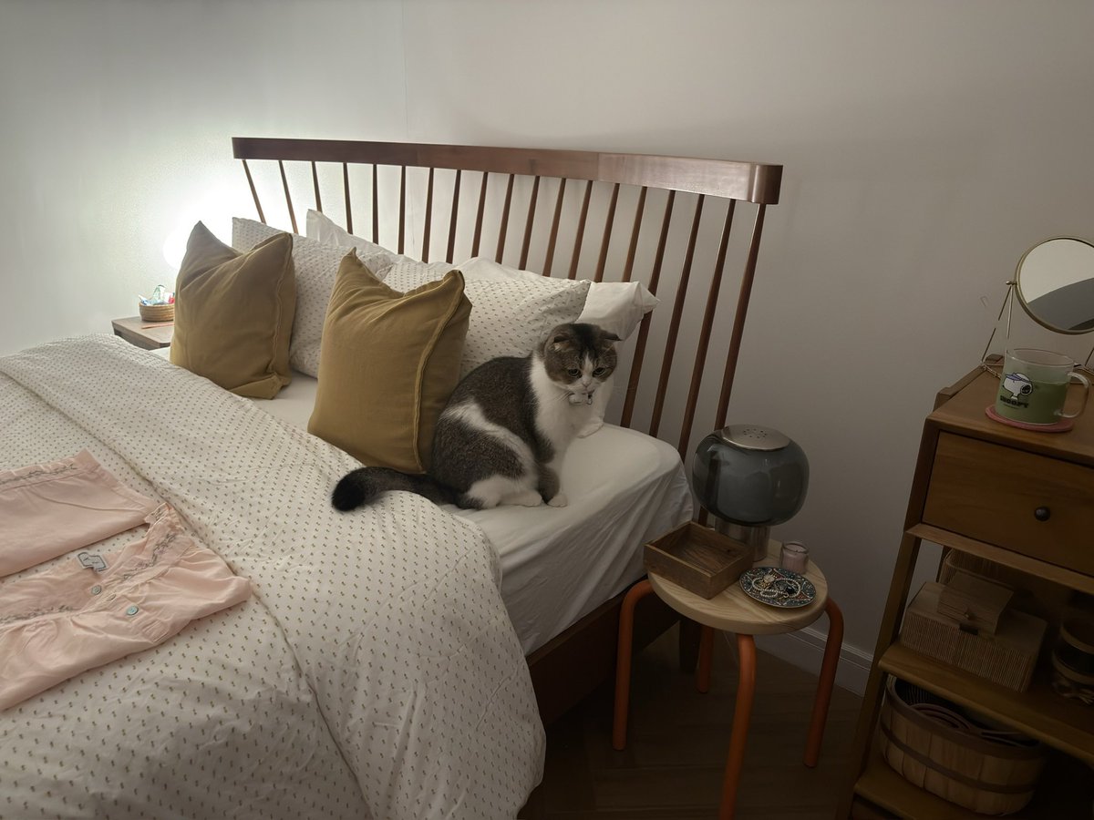 الهنوف tweet media