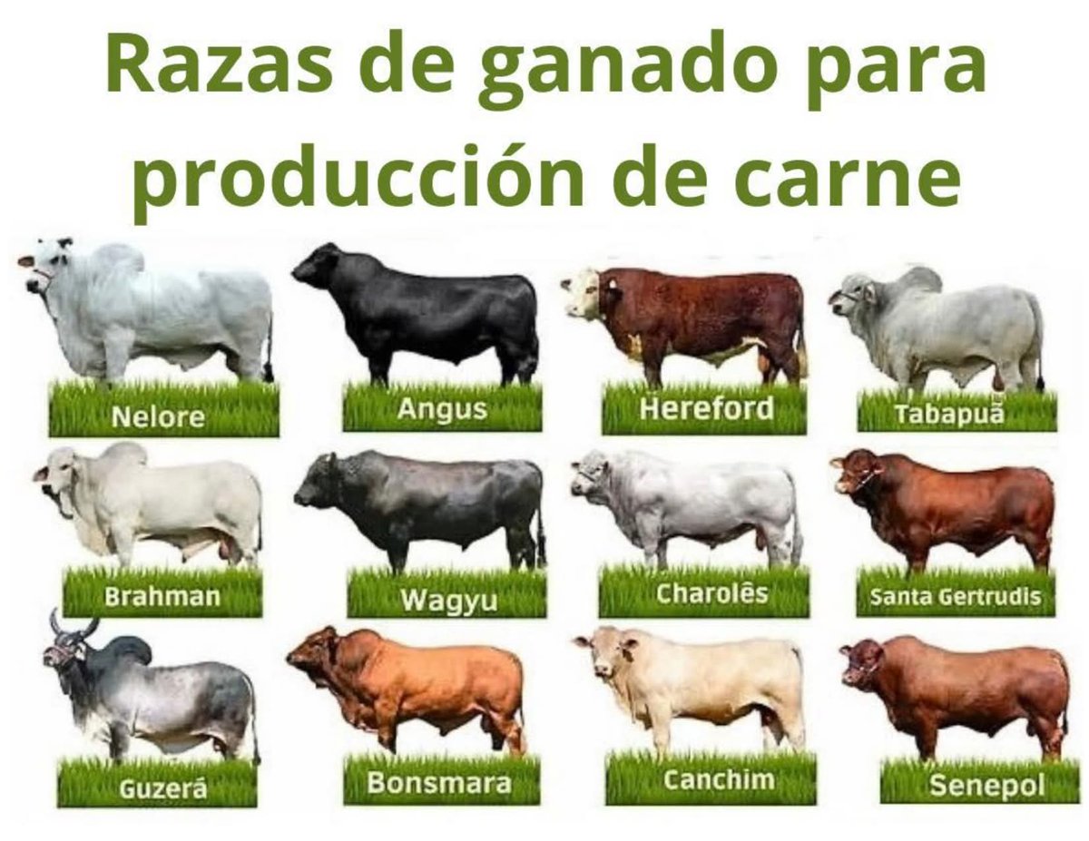 FEDEGAN PAIPA tweet media