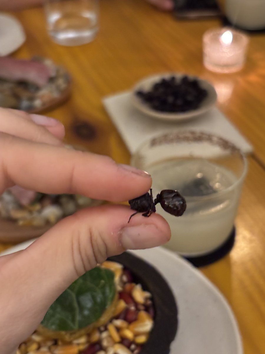 irene from outer space tweet media