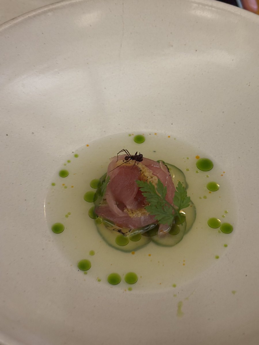 irene from outer space tweet media