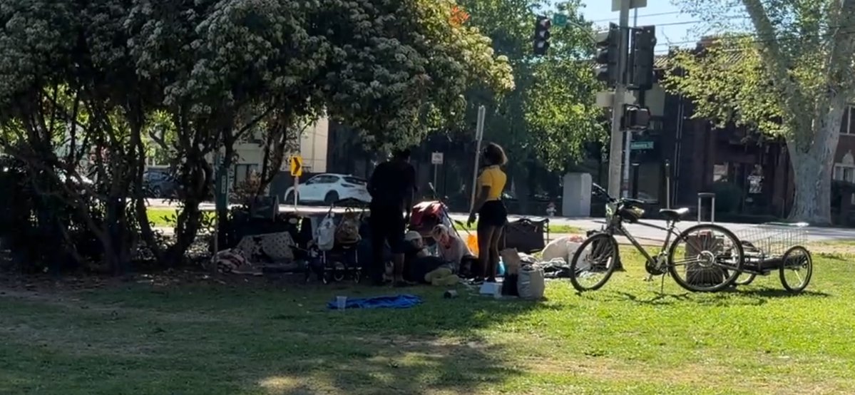 Walk Safe tweet media