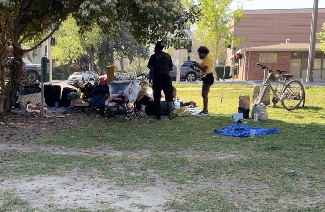 Walk Safe tweet media