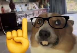 AlexisFrontorio tweet media