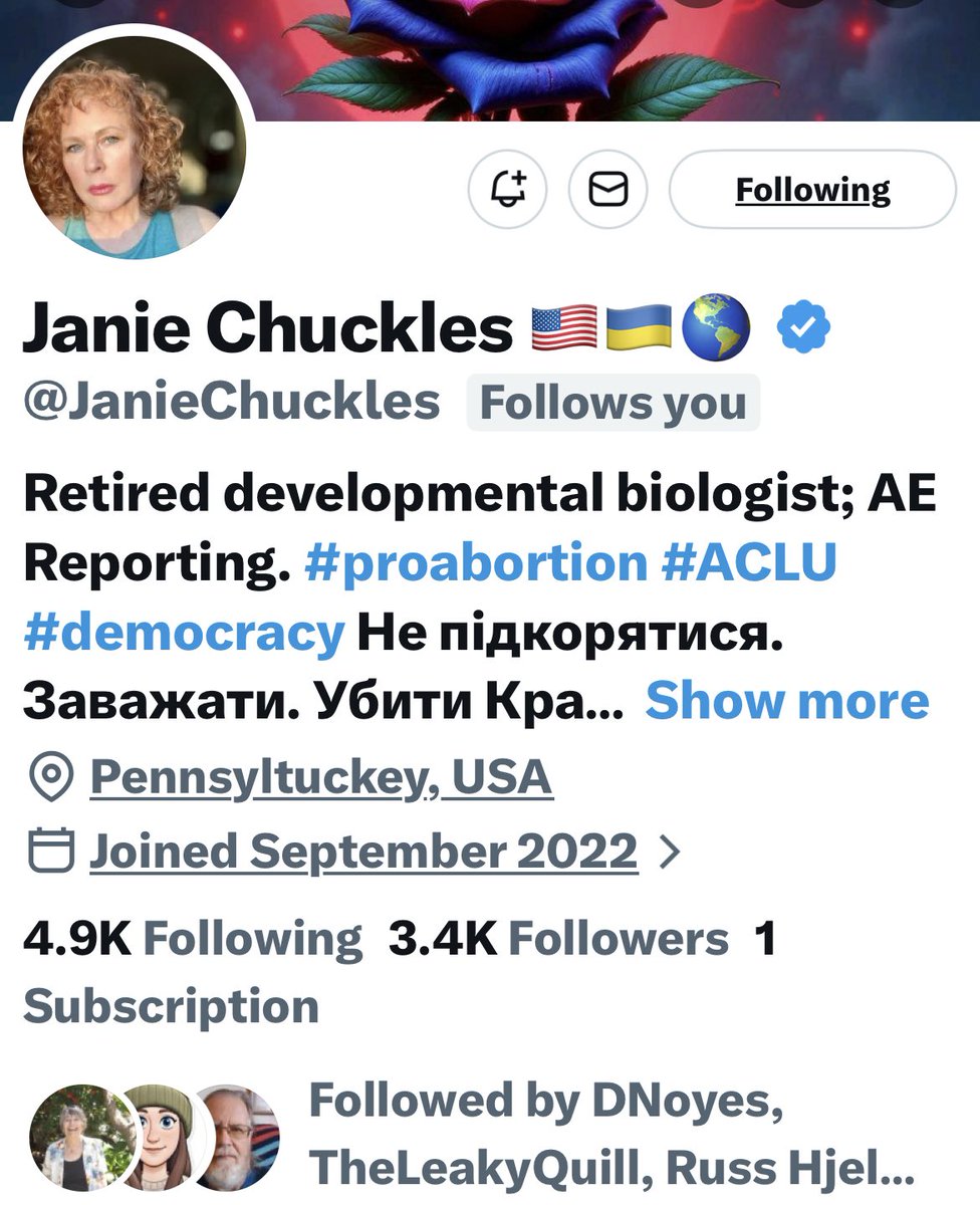 Turquoise Cat tweet media