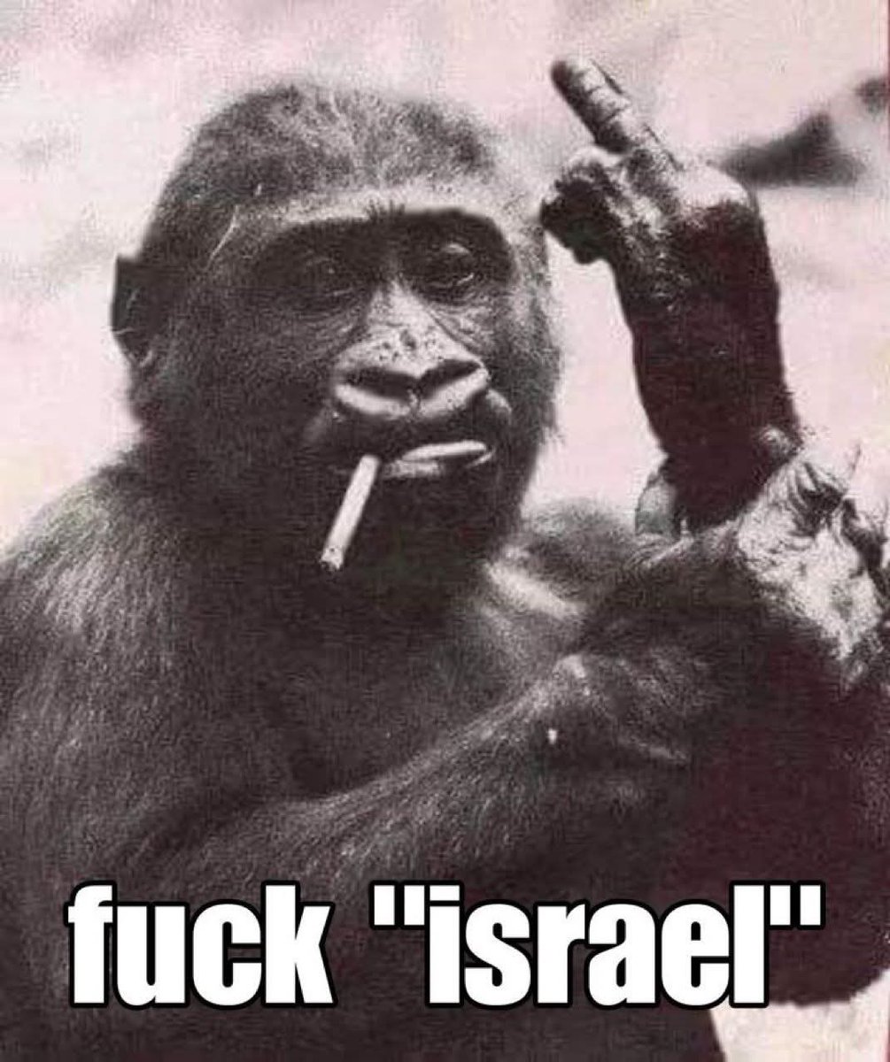 Jonathan Kage tweet media