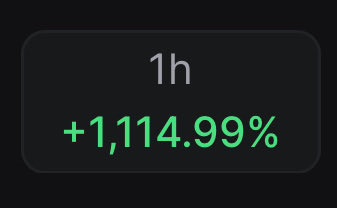 Rocket Bunny 🐰 🚀 tweet media