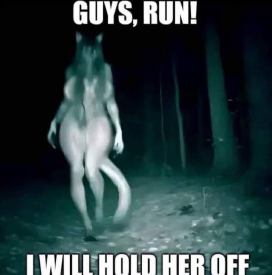 Dark,Odd,Conspiracy tweet media