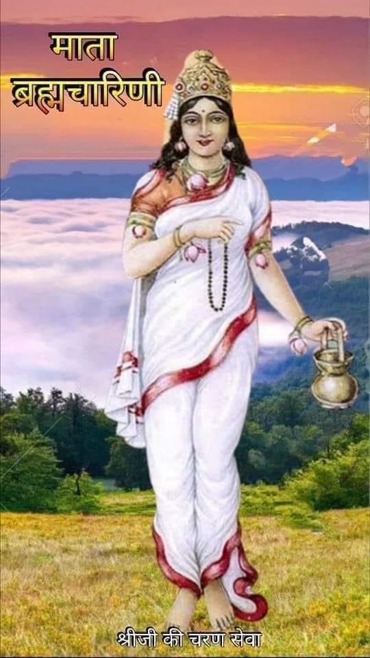 तेज प्रताप पाण्डेय tweet media