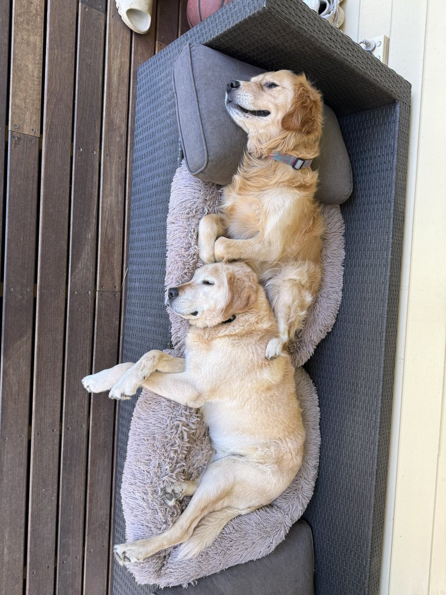 jay 🦋 tweet media