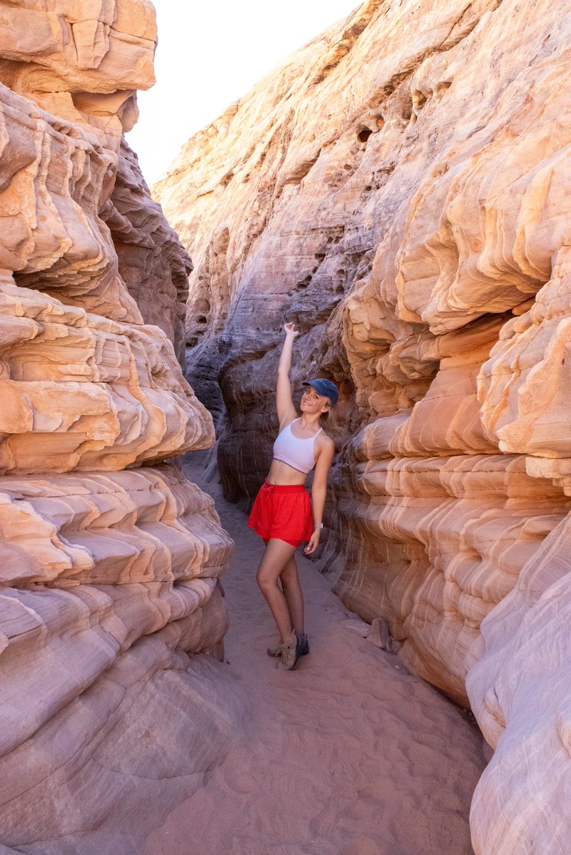 grace *ੈ✩‧₊˚ tweet media