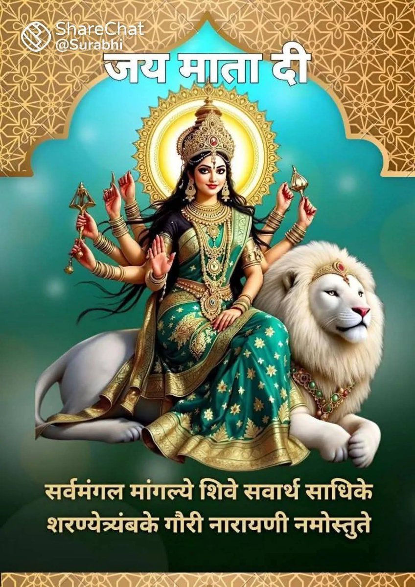 Cart & Crave tweet media