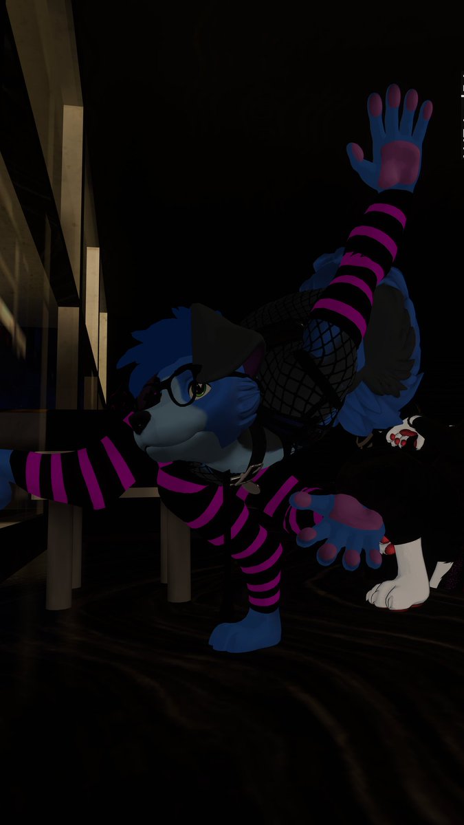 💙Azzy the Husky💙🔜FWA tweet media