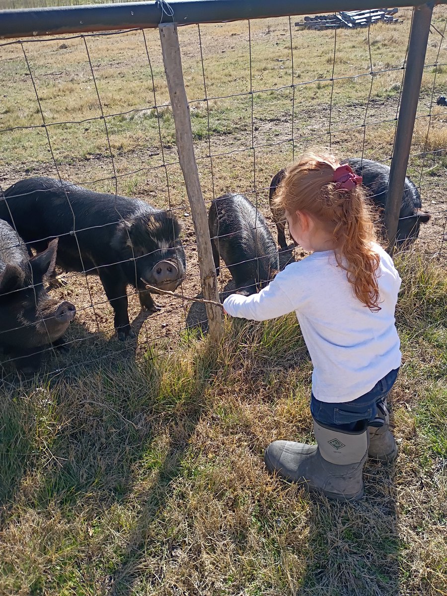 BuffaloRon tweet media