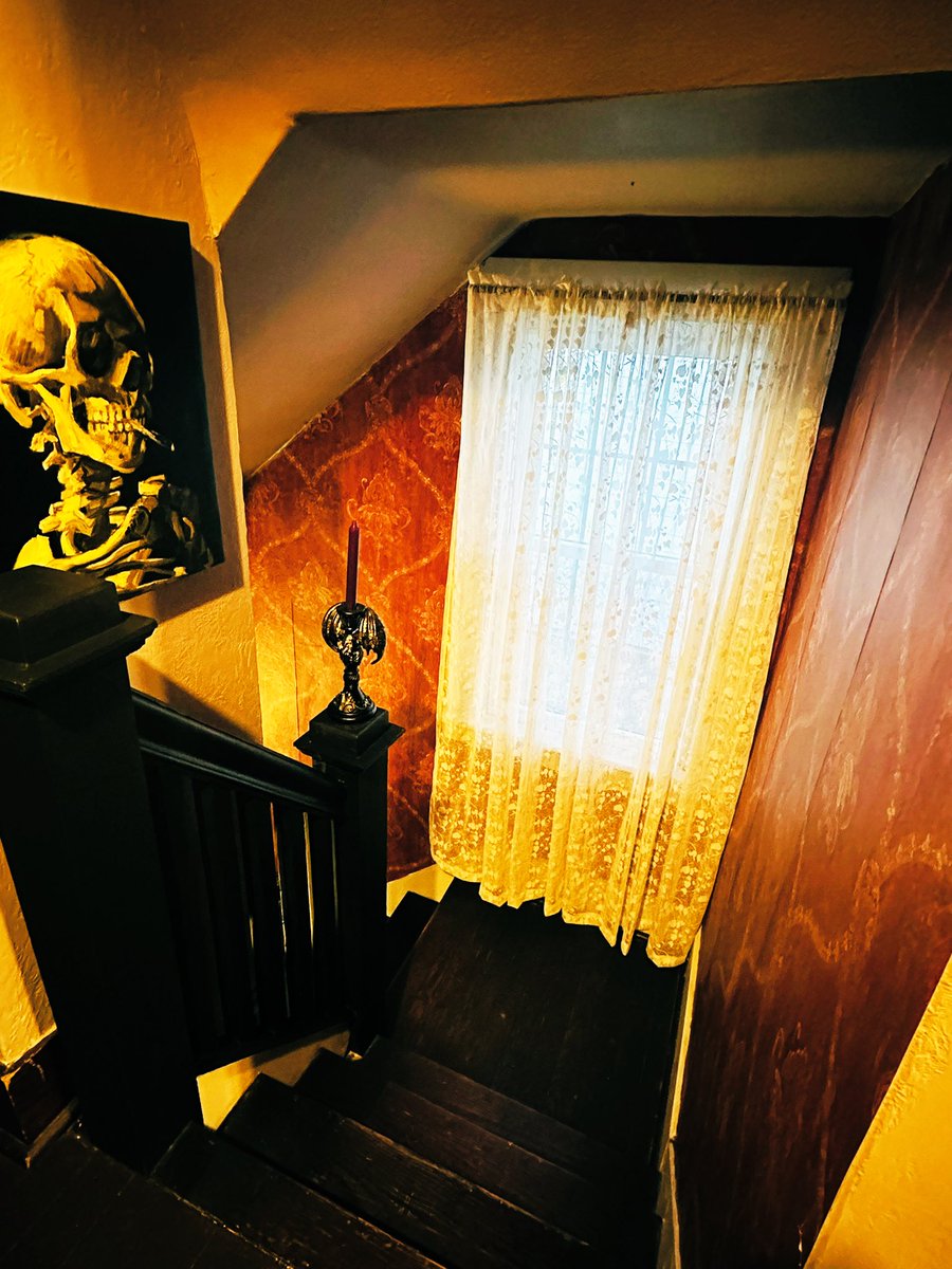 Alonna Lee 🎃 tweet media