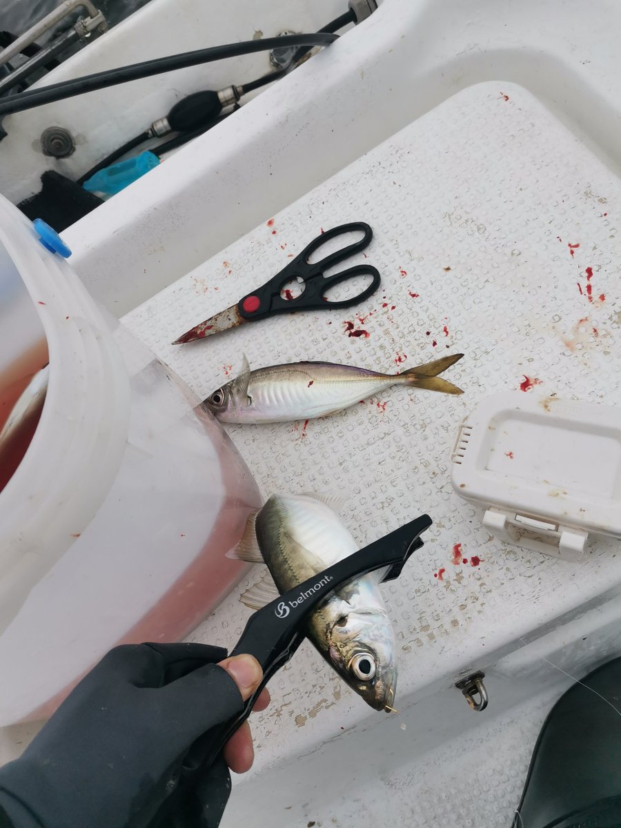 つだ_21style tweet media