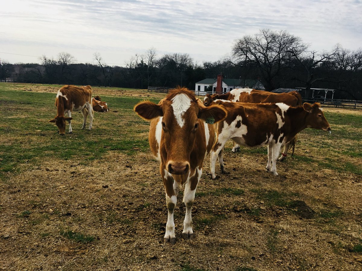 Mama Noodles tweet media