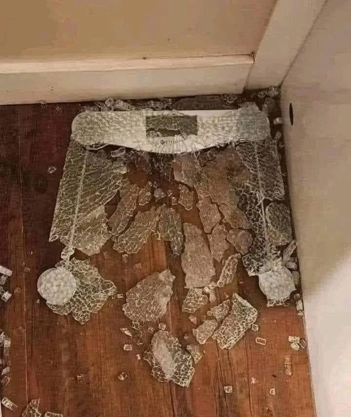 Amoool⚽️♥️💙 tweet media