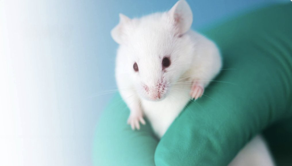 Sharath Prabhu tweet media