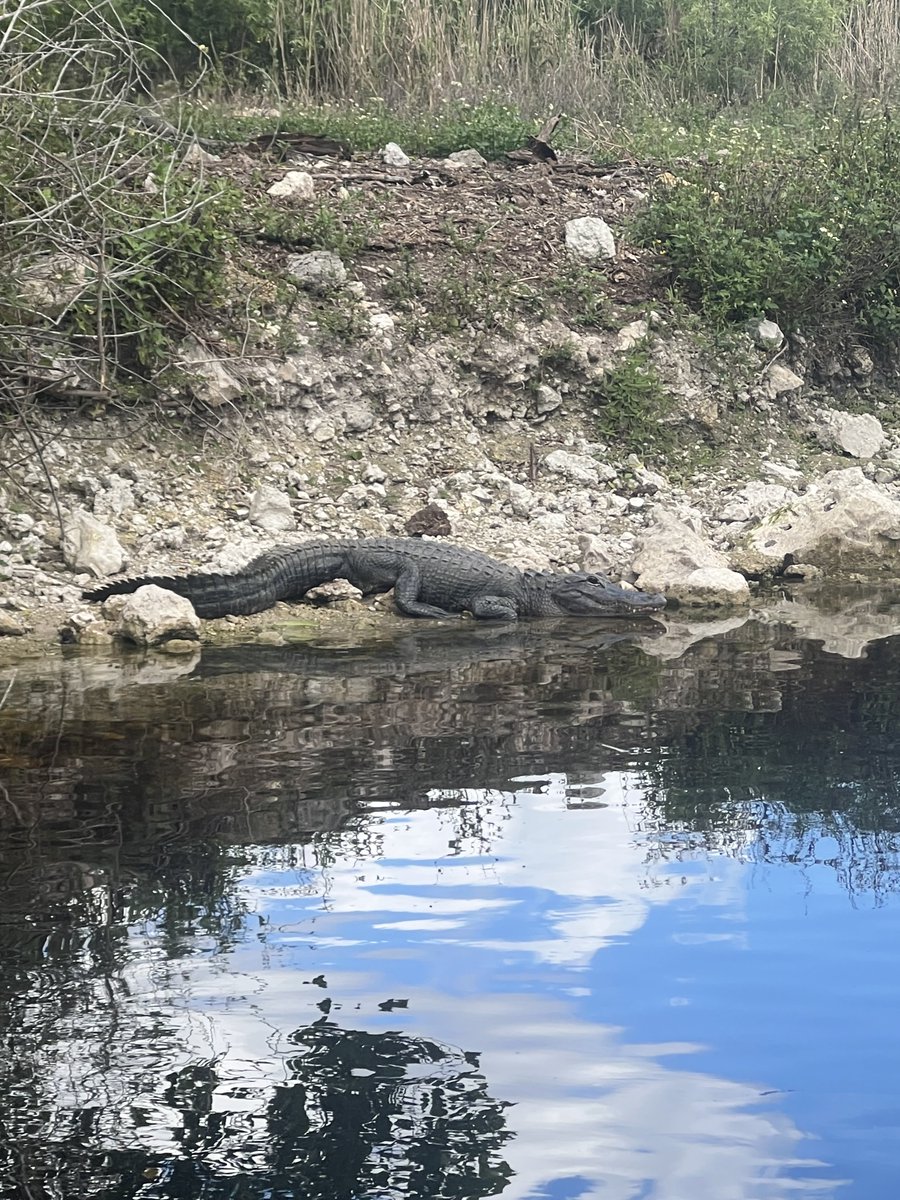 Adam Loewy tweet media