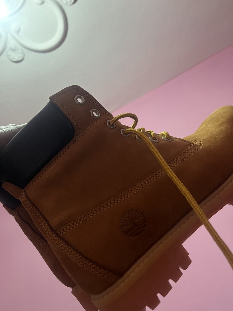 F A L L Y🇸🇳🤍 tweet media