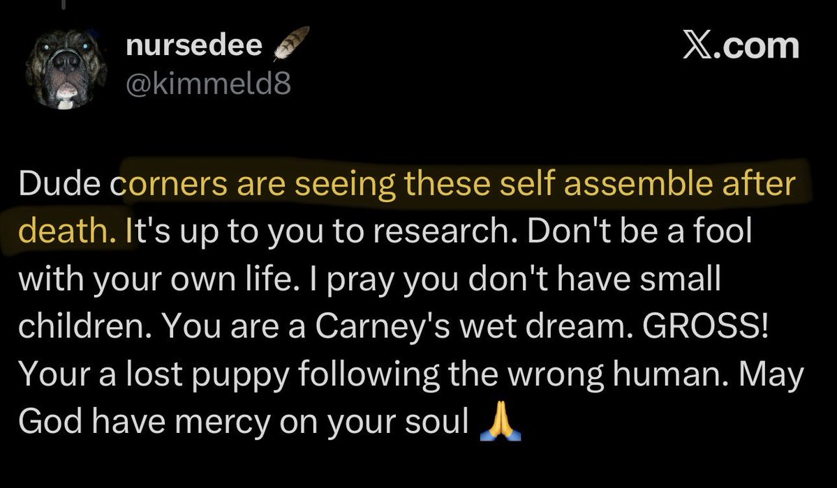 Jason Wood 🇨🇦🗿 tweet media