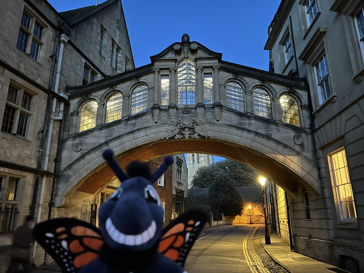 Maria College tweet media