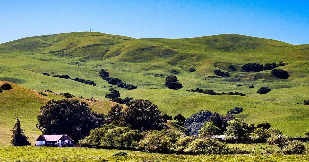 CalBrokerJohn's tweet photo. Last day of Winter in San Francisco Bay Area's North Bay/Wine Country. Green hills west of Grizzly Island Wildlife Area, Fairfield. https://t.co/cqoNGvr5qJ