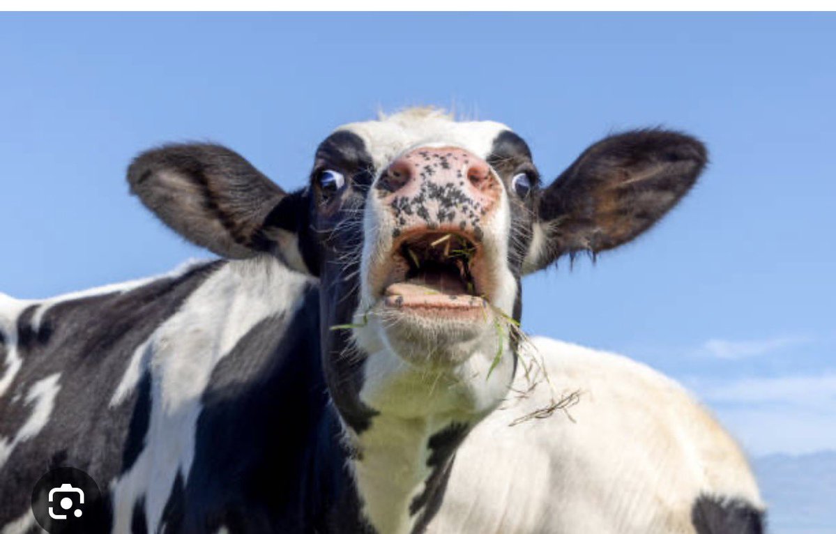 Truth Matters. tweet media