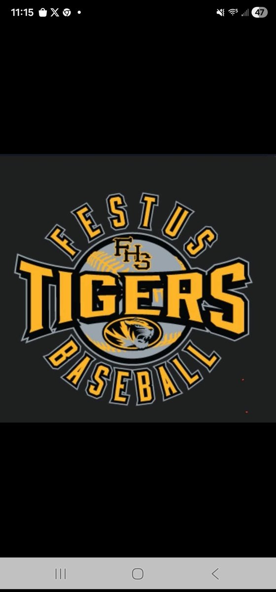 Festus HS Baseball tweet media