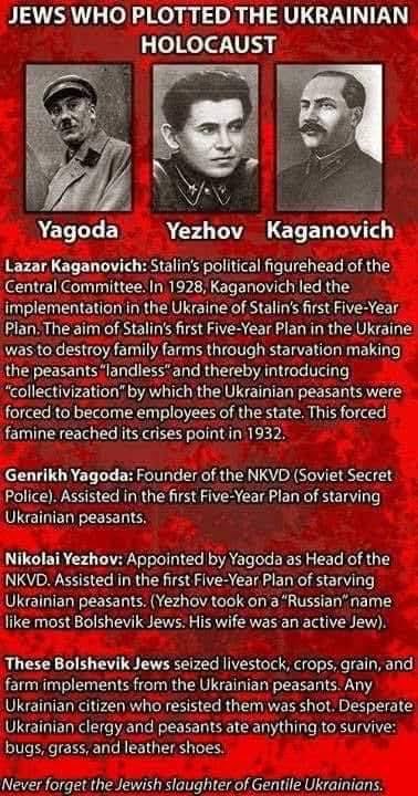 Frank Rizzo tweet media