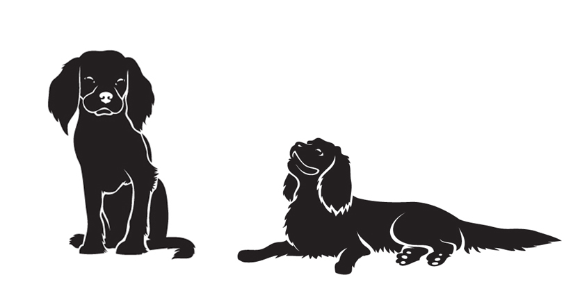 Diane Rapp tweet media