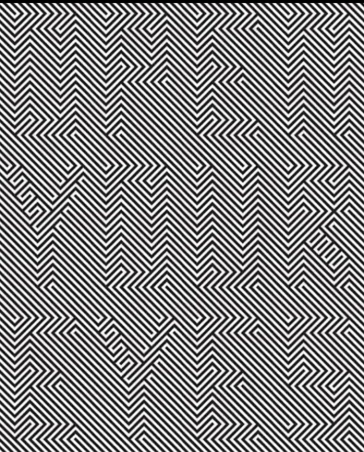 Muhammad Shan tweet media