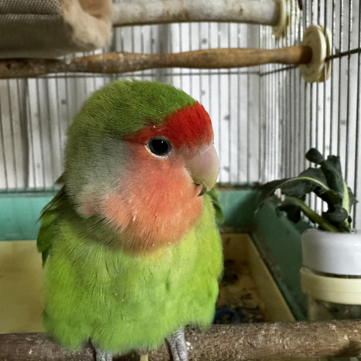 おはようございます！