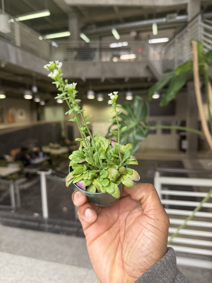 André O. Hudson, PhD tweet media