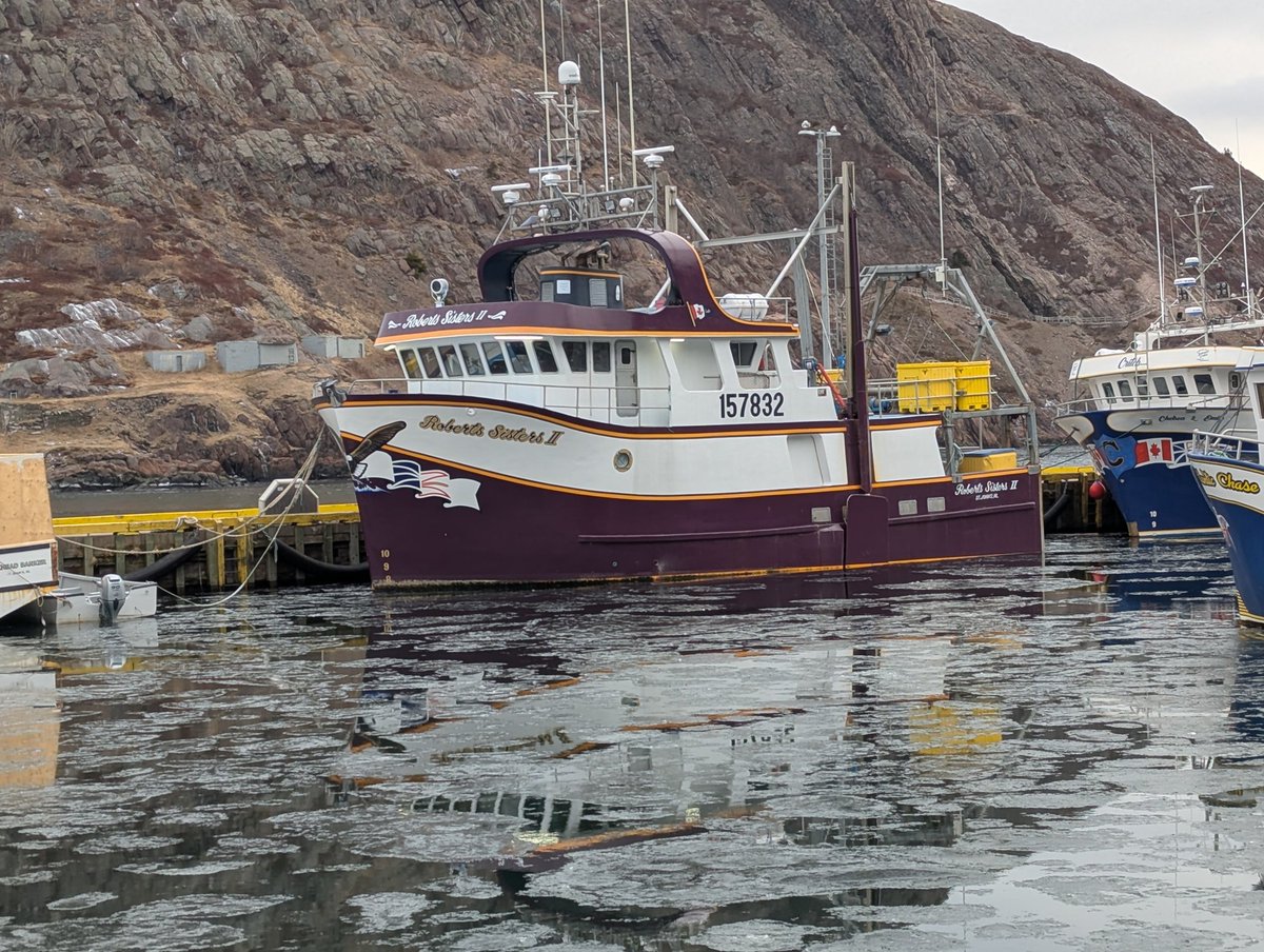 Colin Lane tweet media