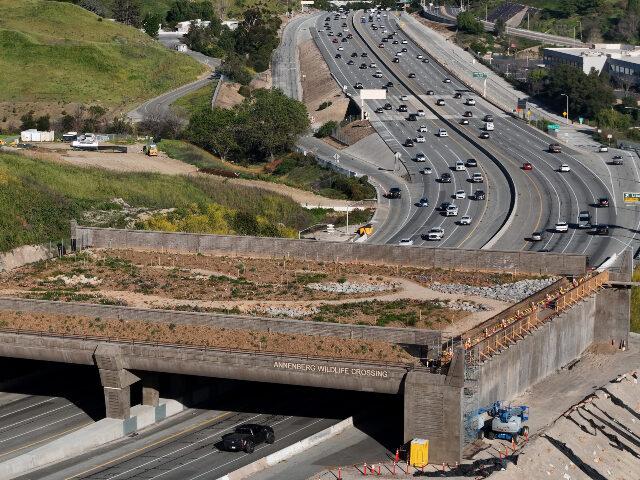 Texas_4_Trump-Kenny tweet media