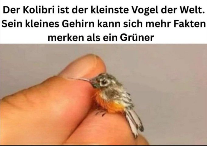 Halász Tamás tweet media