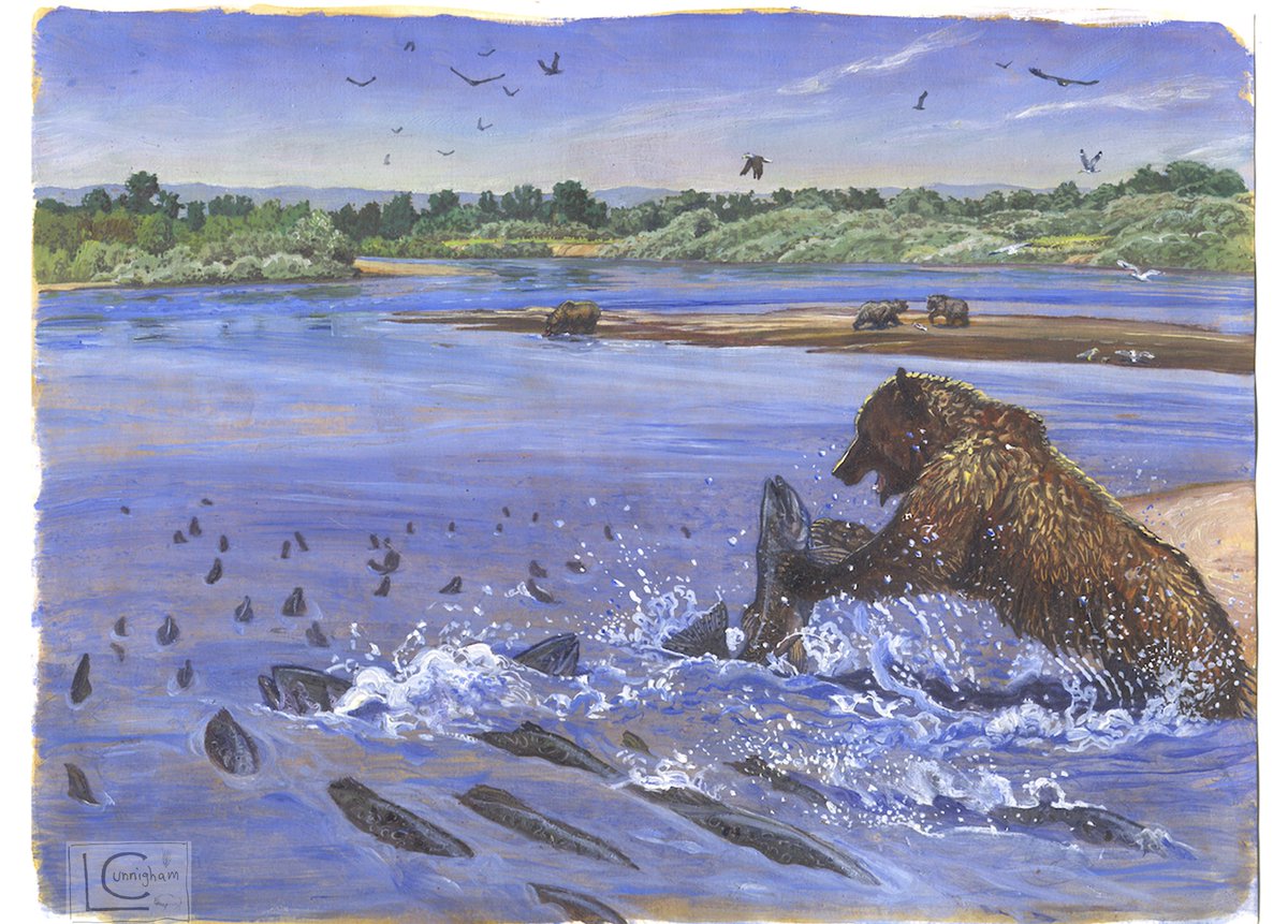 LM Cunningham tweet media