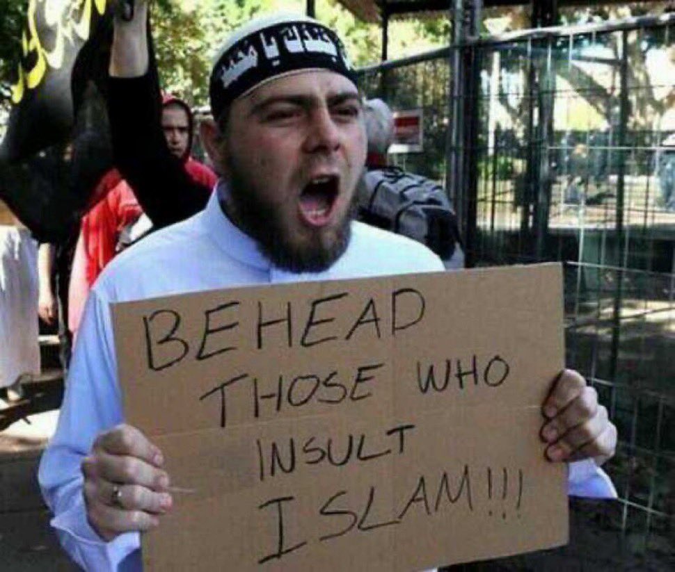 Ryan Dally tweet media