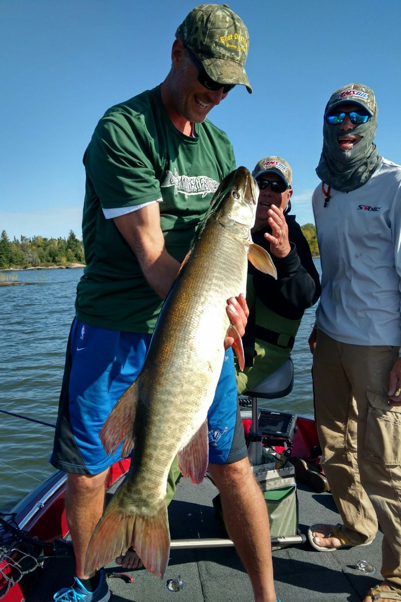 Pete Maina tweet media