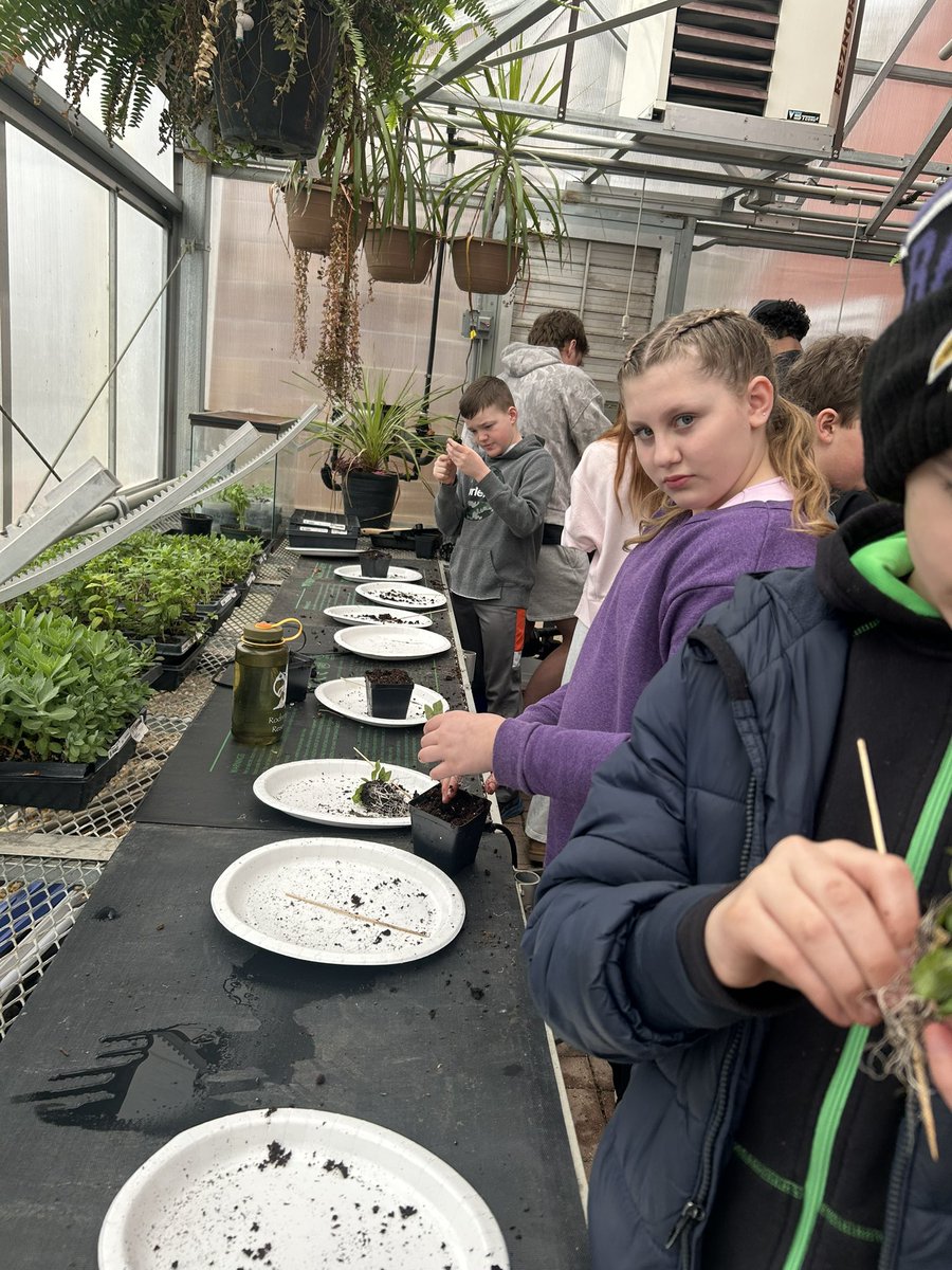 CCPS_STEM tweet media