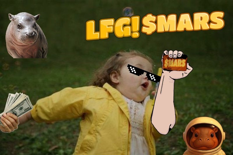 Leo.onchain tweet media