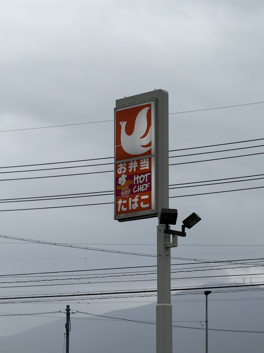 somali9/ヒザヤスメ・マルコ tweet media